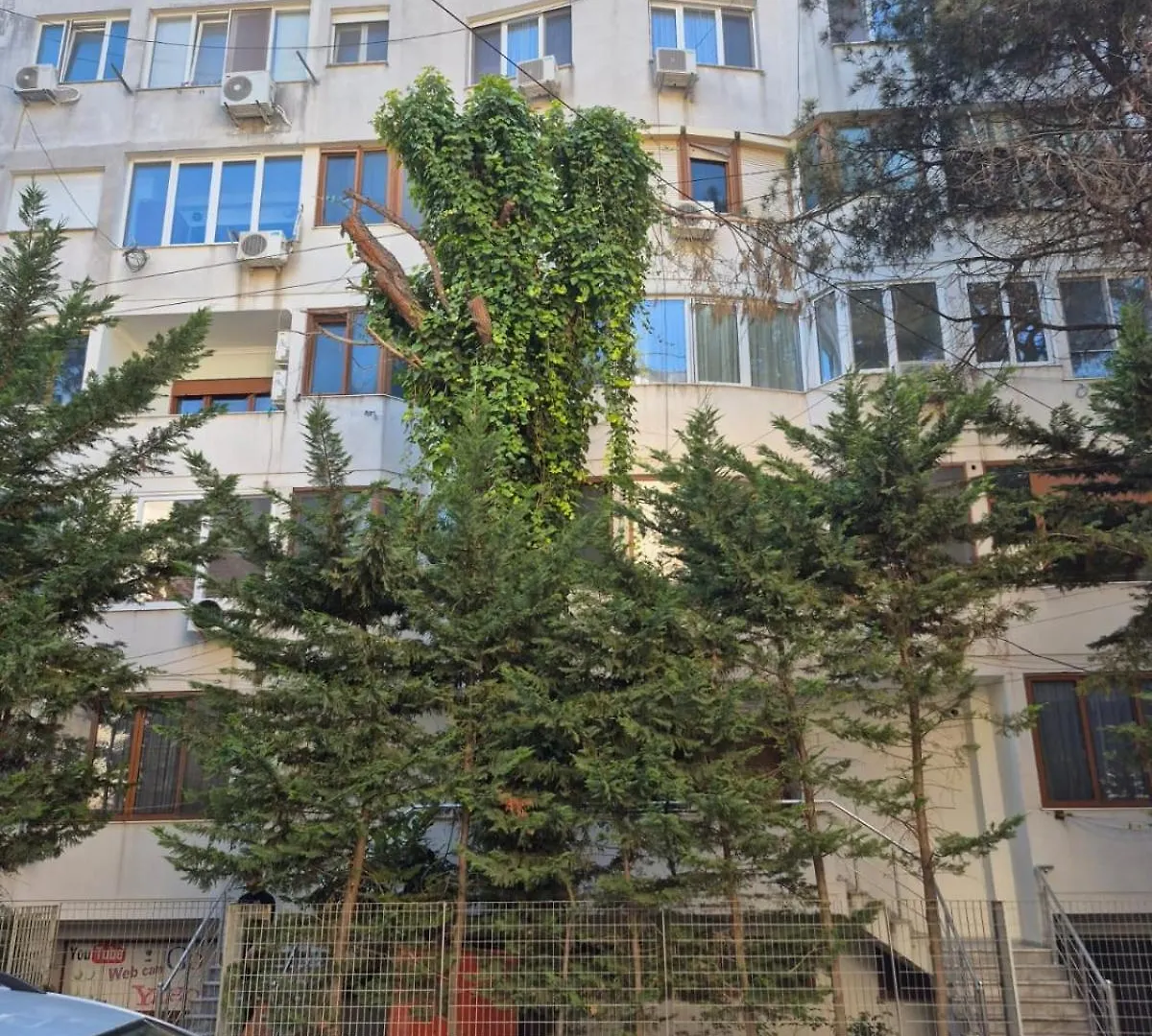 Under Pines - Beach Apartment Golem